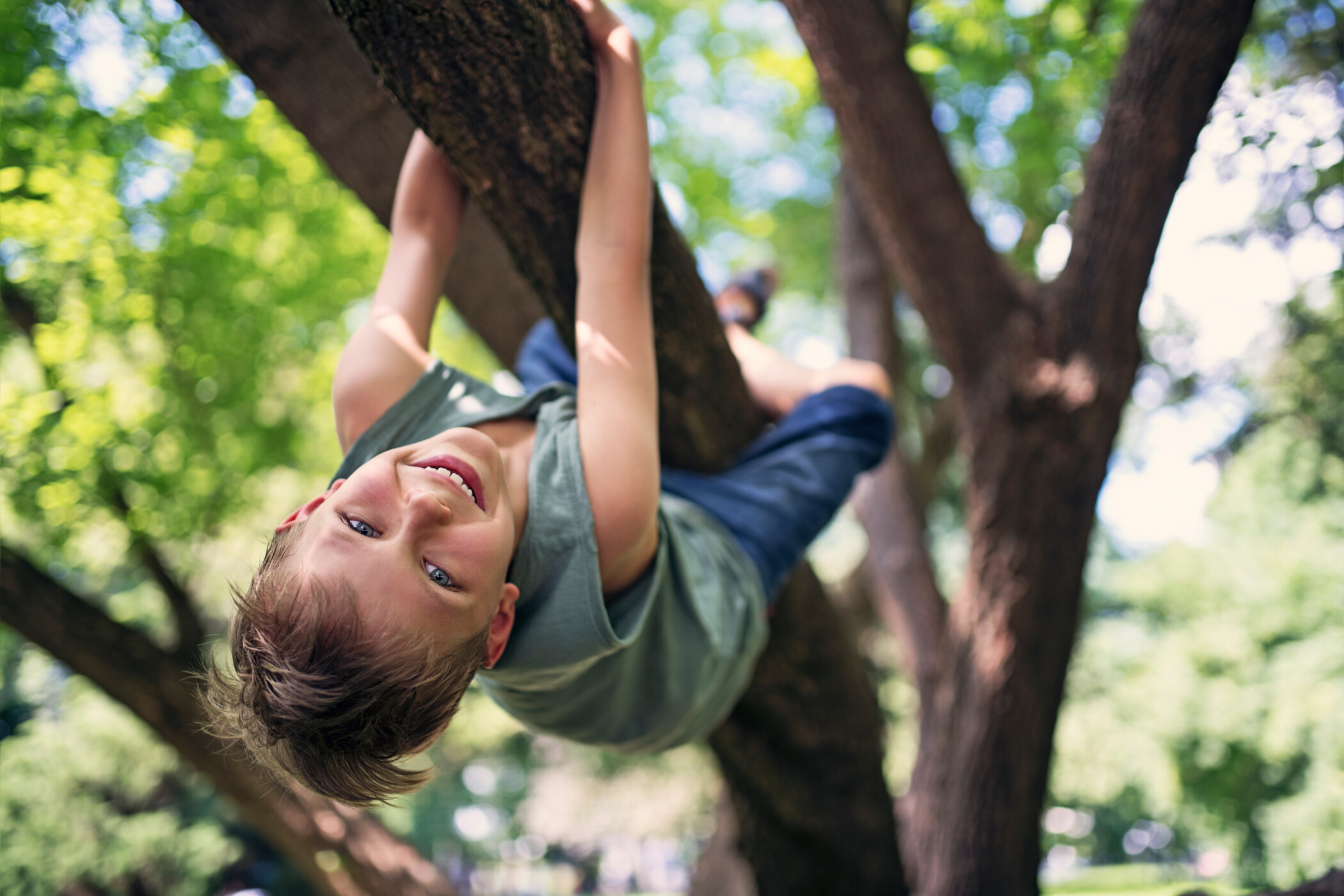 Junge hängt kopfüber an einem Baum Ein kleiner Junge, der in Shorts und T-Shirt wie ein Faultier an einem Ast hängt und lacht