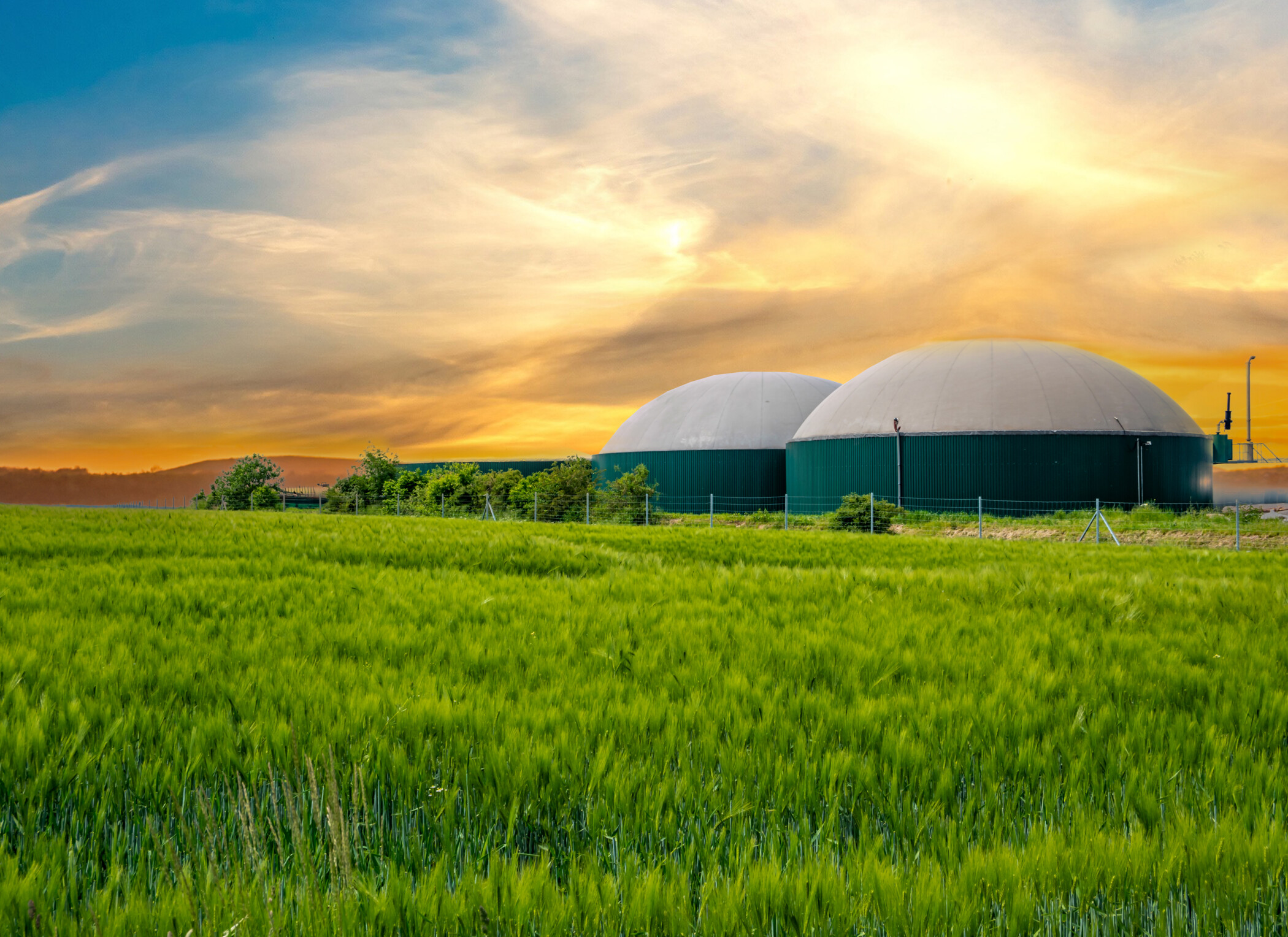 Eine Biogasanlage auf einer grünen Wiese vor einem Sonnenuntergang